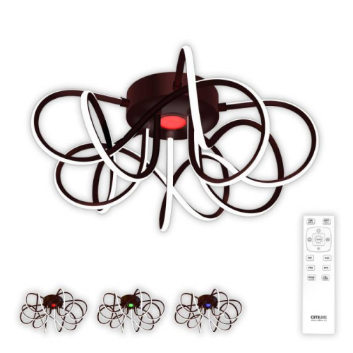 Потолочная люстра Citilux Мишель CL229155