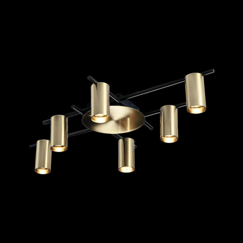 Потолочная люстра Loft It Tribes 8120C-6