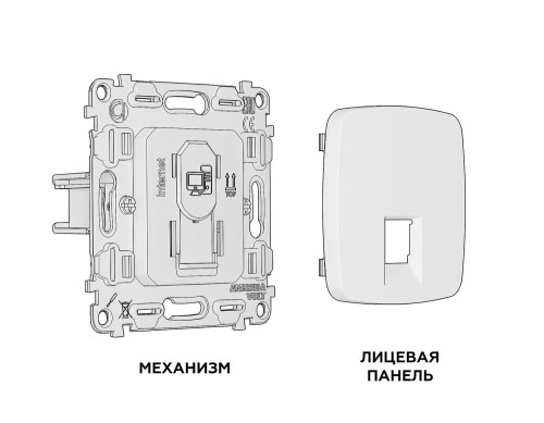 Розетка Ambrella Volt OMEGA MO112010
